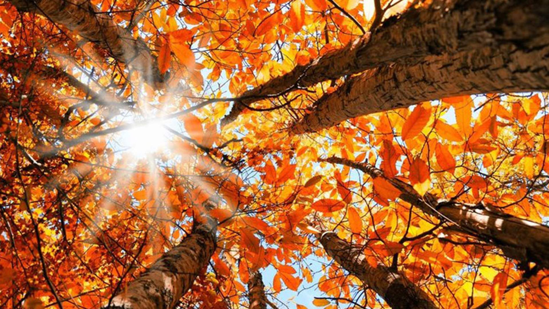 ارتفاع بدرجات الحرارة... إليكم تفاصيل طقس الـWeekend