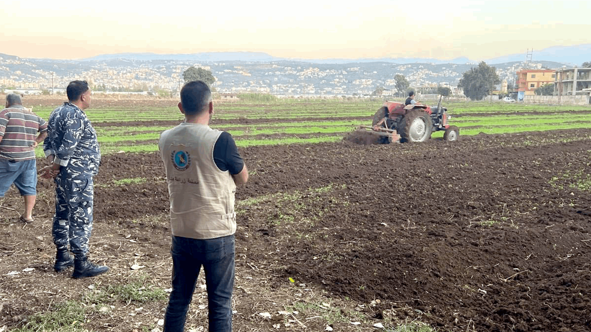 وزارة الزراعة تتحرّك لحماية سلامة الغذاء: إتلاف مزروعات غير مطابقة للمعايير الصحية