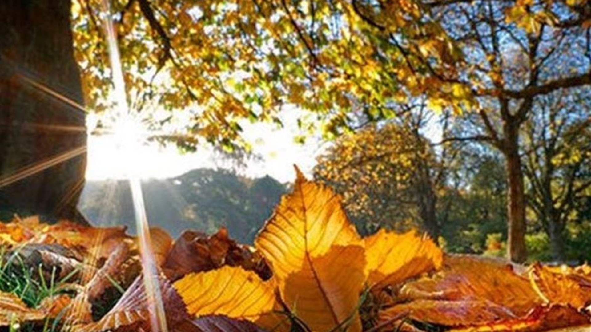 لا منخفضات ممطرة قبل التاسع من الشهر… اليكم التفاصيل