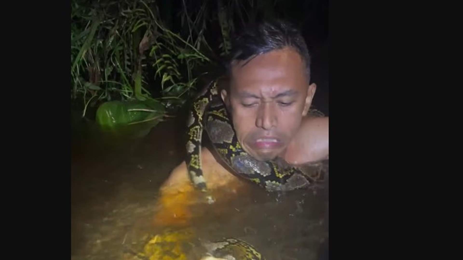 في مشهد مرعب... أفعى بطول 6 أمتار تلتف حول عنق دليل سياحي وتسحبه تحت الماء وهذا مصيره (فيديو)