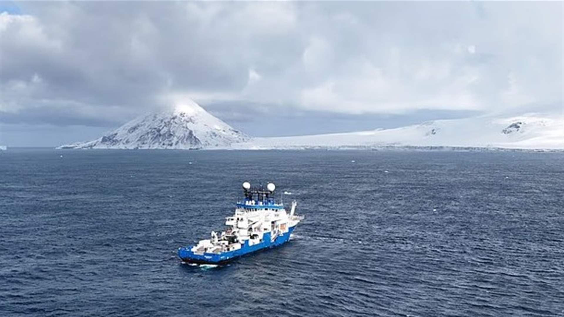 اكتشاف &quot;كرة الموت آكلة اللحوم&quot; في أعماق المحيط… كائن غامض يفترس ضحاياه بخطافات قاتلة (صورة)