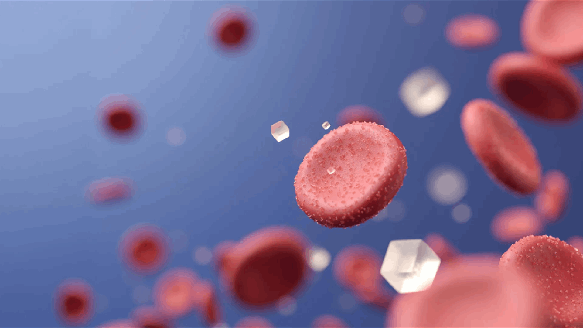 نبتة صحراوية نادرة تُحدث اختراقًا علميًا في علاج السكري... هذا ما اكتشفه العلماء