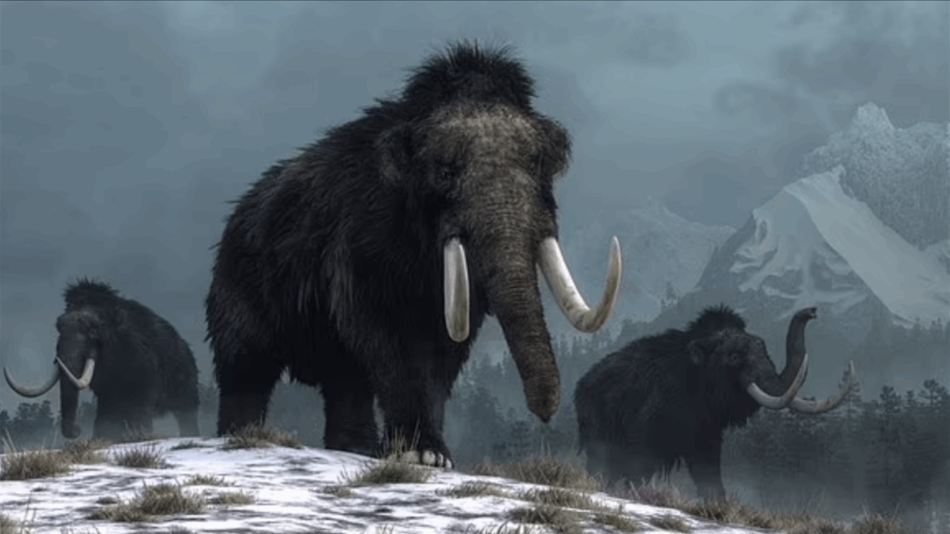 خطوة لافتة... علماء يستخرجون الحمض النووي الريبوزي من مخلوق عاش قبل 40 ألف سنة وهذا ما تم اكتشافه