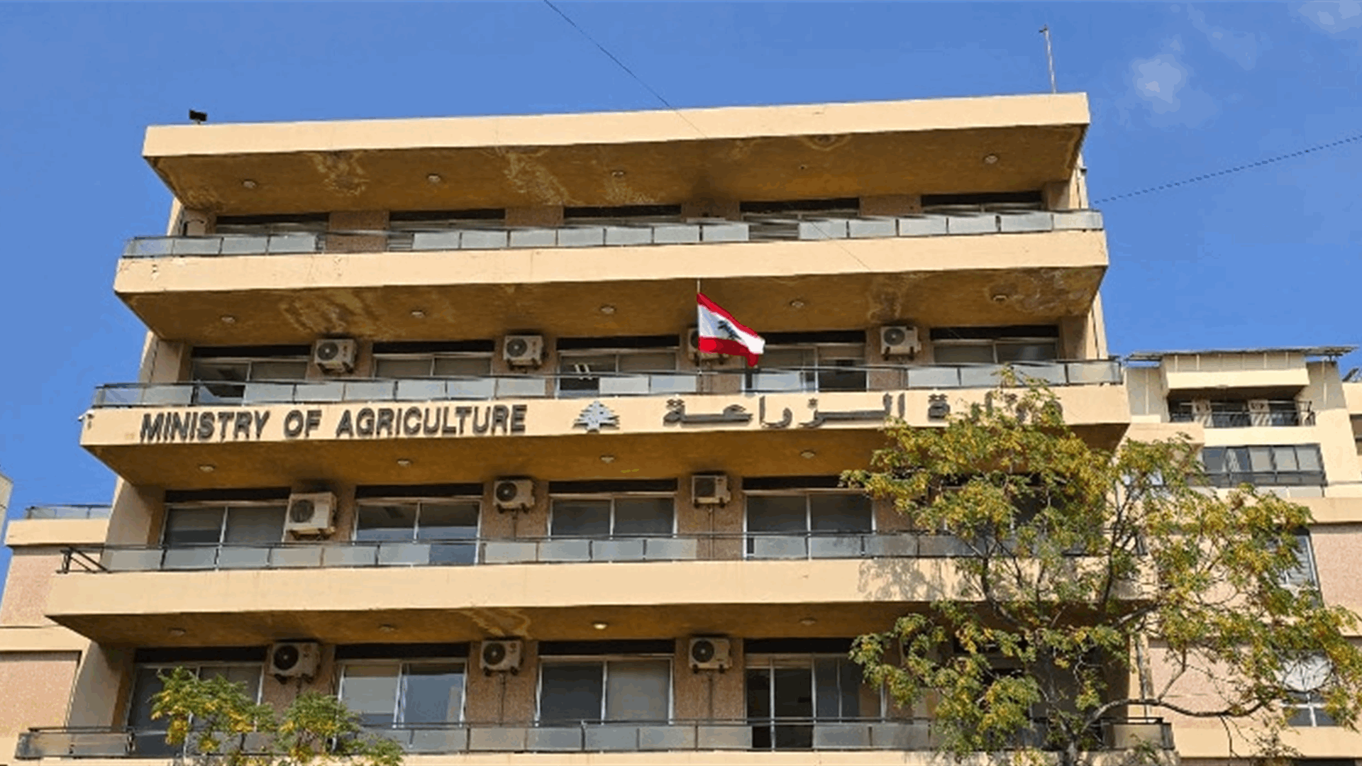 وزارة الزراعة ترفع علمًا جديدًا فوق مبناها