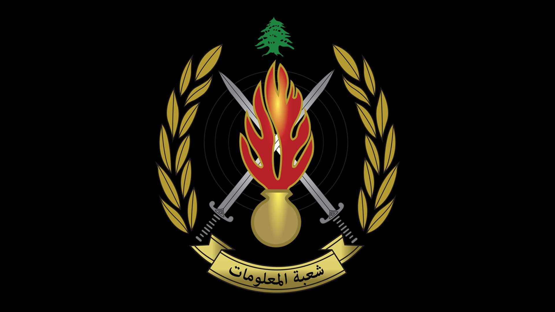 شعبة المعلومات كشفت ملابسات جريمة قتل في مخيّم شاتيلا ذهبت ضحيّتها سيدة