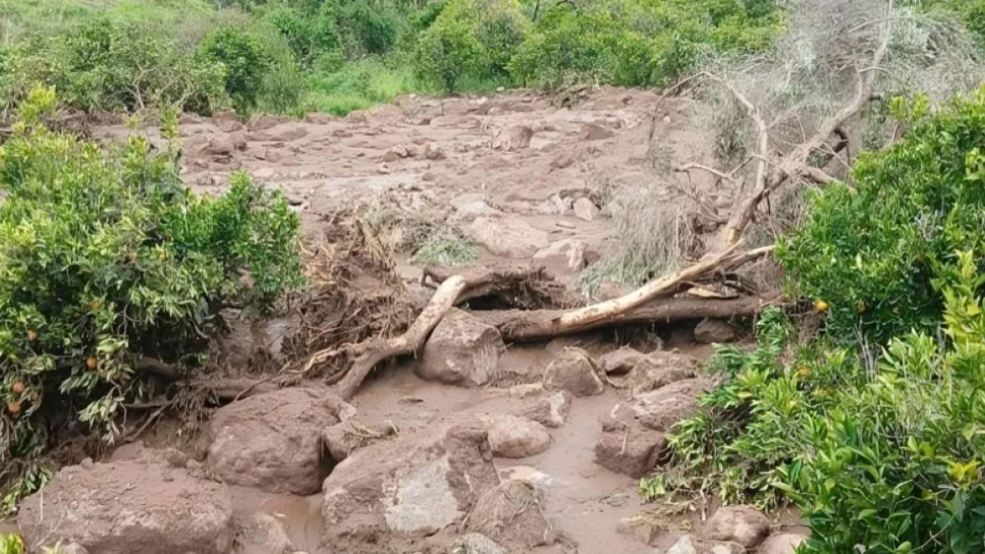 مقتل ثمانية أشخاص في تاهيتي بانزلاق تربة