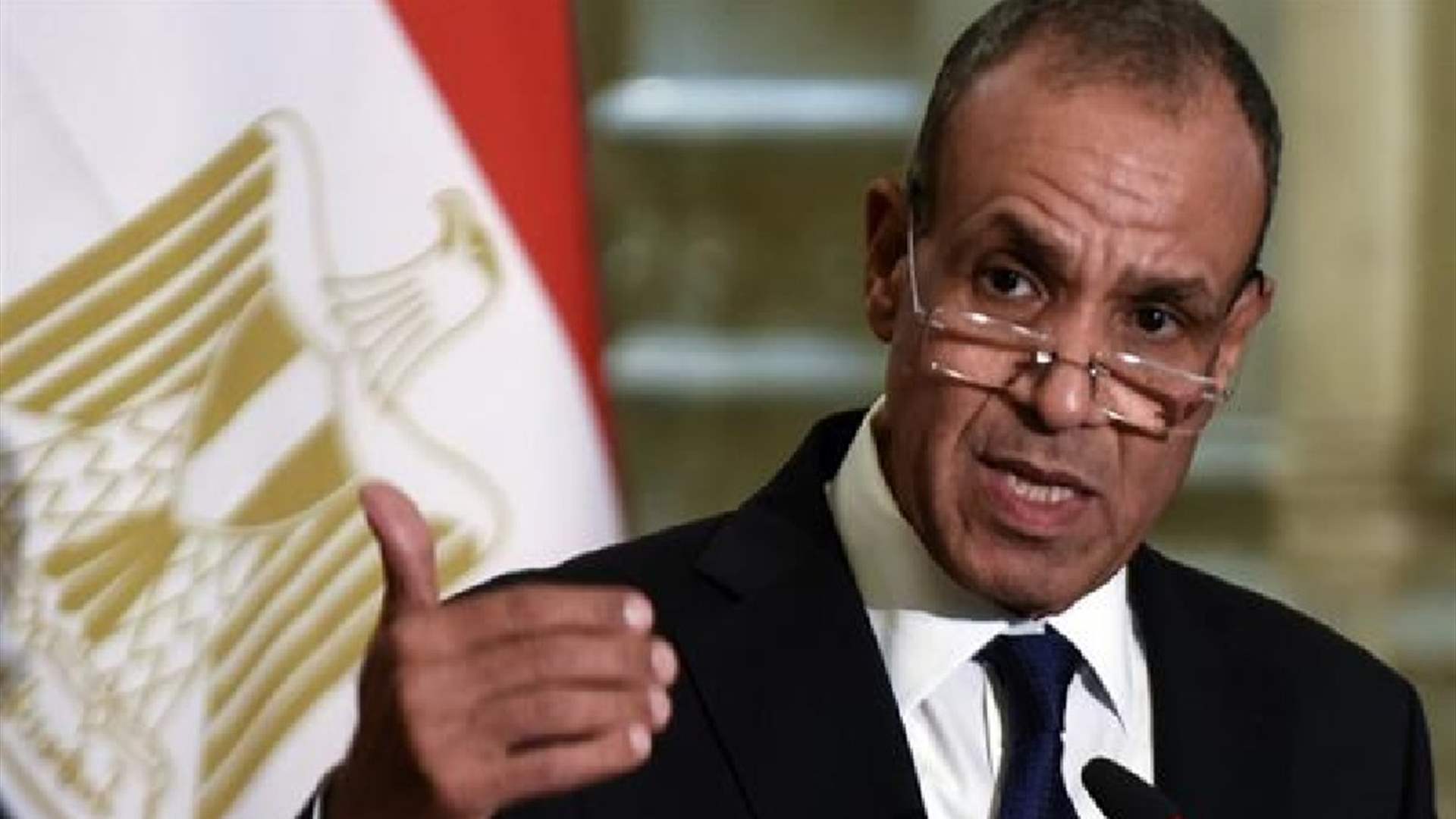 Egypt FM urges deployment of stabilisation force in Gaza &#39;as soon as possible&#39;