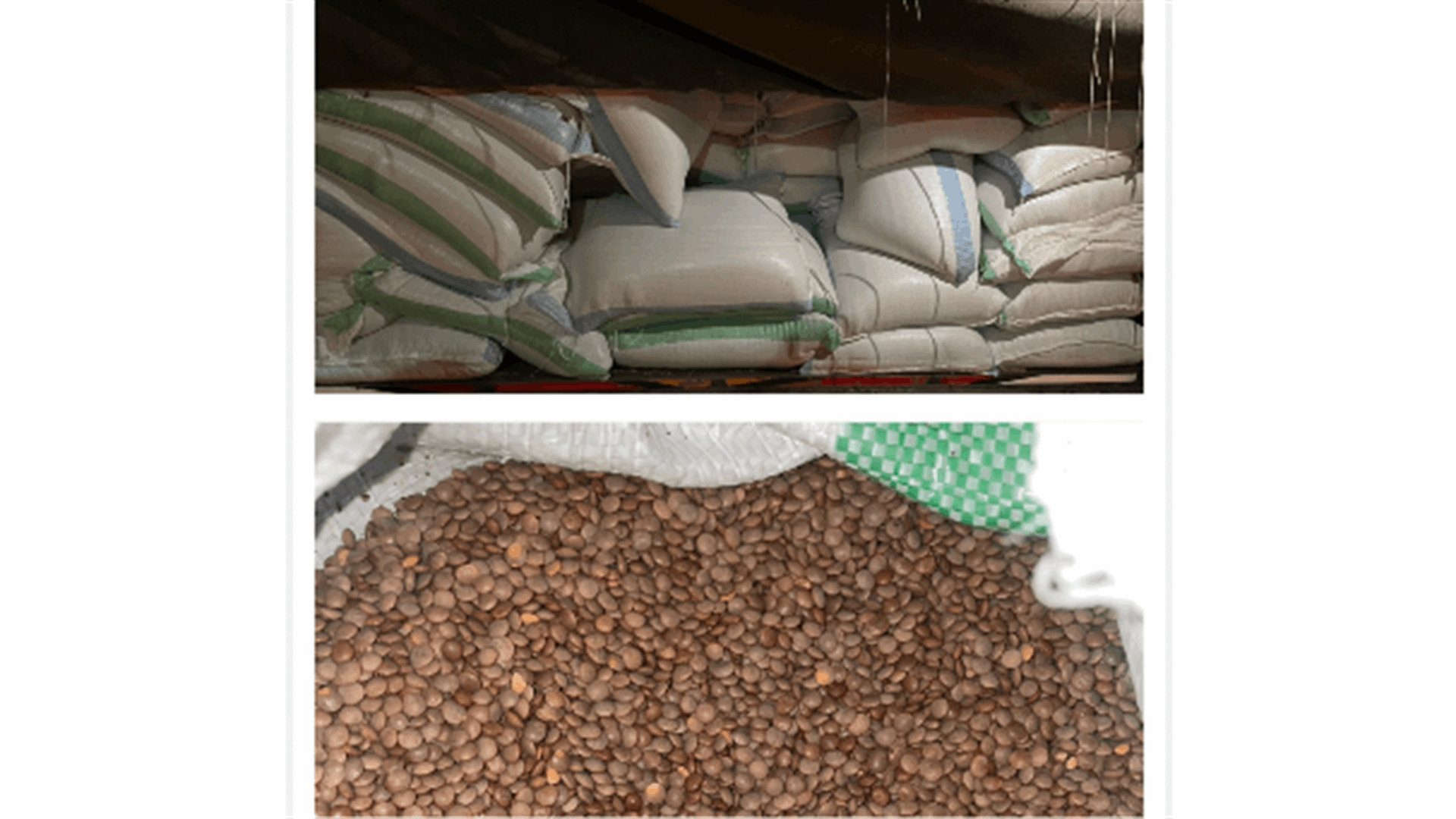 جمارك الشمال ضبطت كمية كبيرة من الدخان المهرب والعدس المهرب