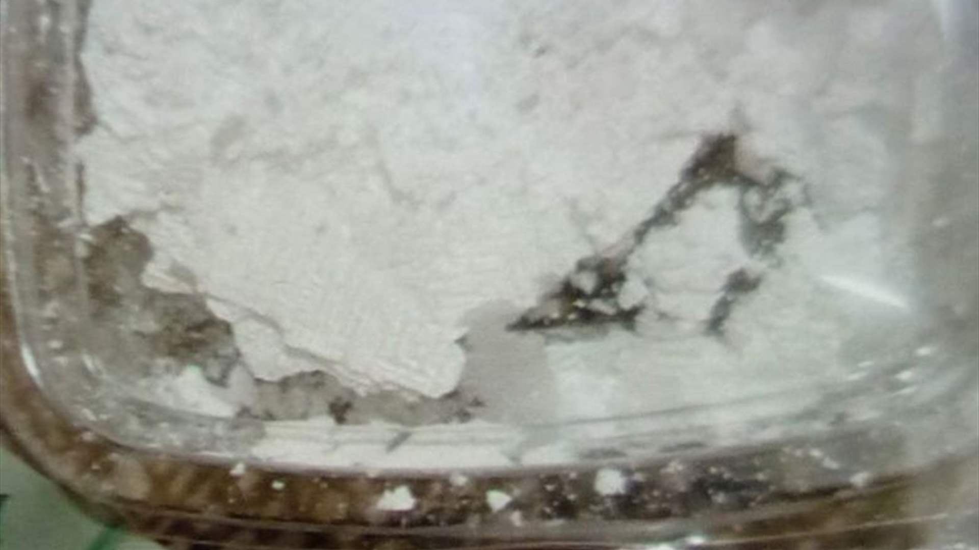 توقيف أحد أخطر المطلوبين عند مدخل مخيم شاتيلا - بيروت في سياق مكافحة الاتجار بالمخدرات