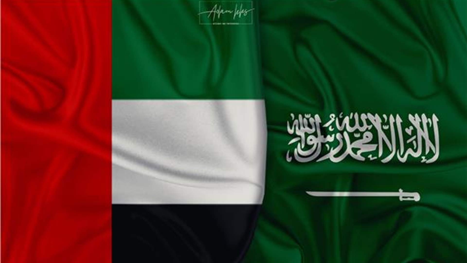 وفد سعودي إماراتي مشترك في عدن باليمن لإجراء محادثات