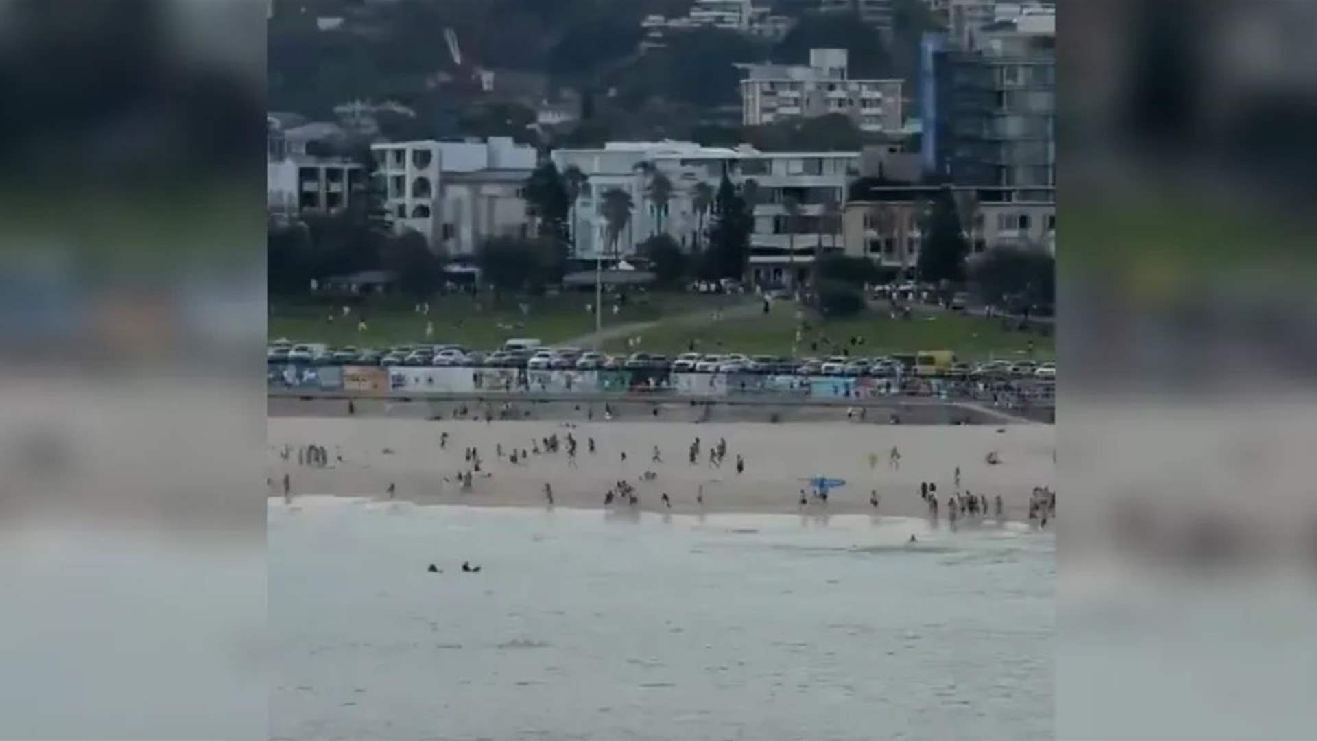 إطلاق نار عند شاطئ في سيدني... وسقوط قتلى (فيديوهات)