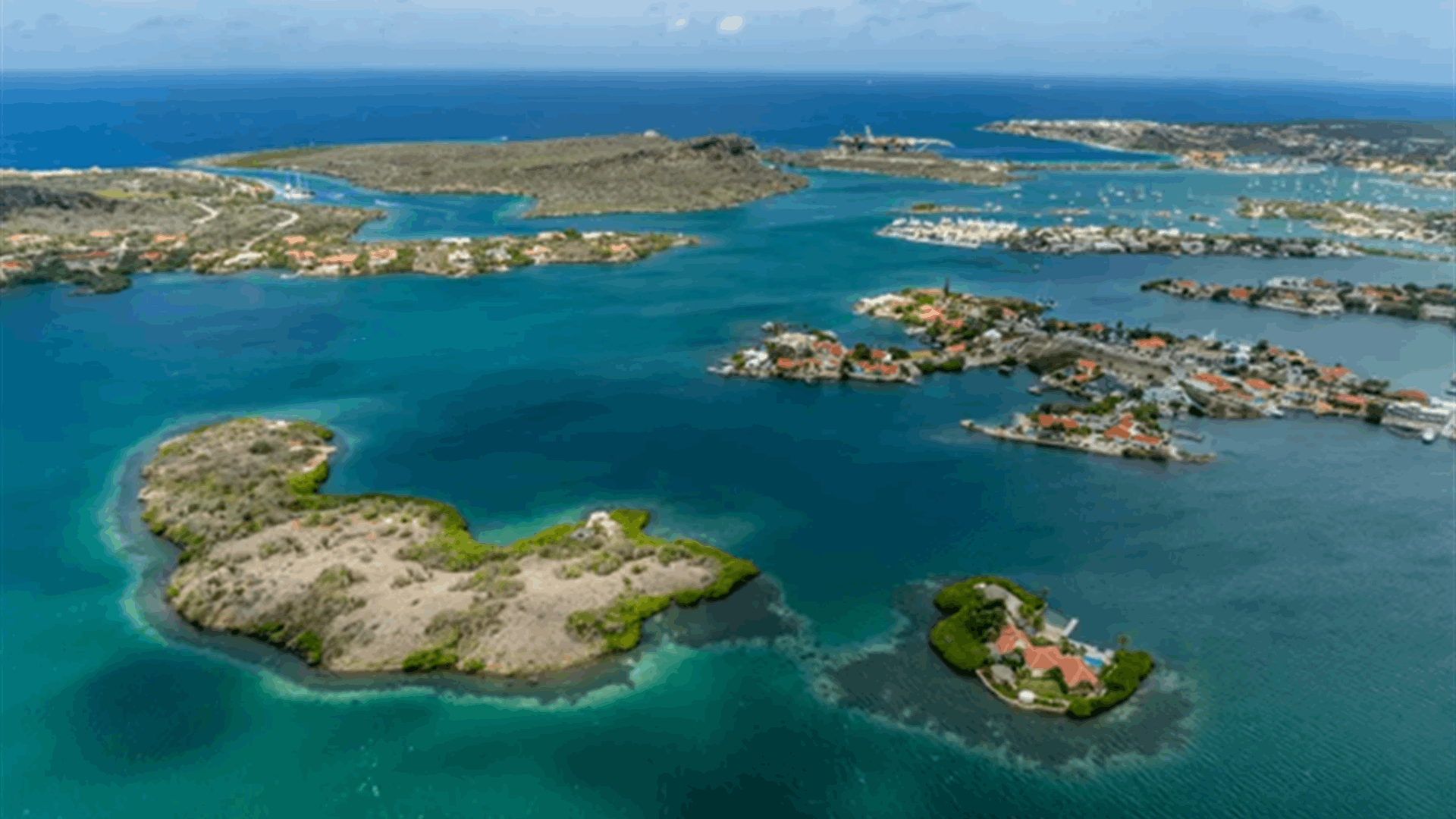 اكتشاف أكثر من مئة نوع جديد من الكائنات البحرية والنباتات والحشرات في جزر الأنتيل الفرنسية