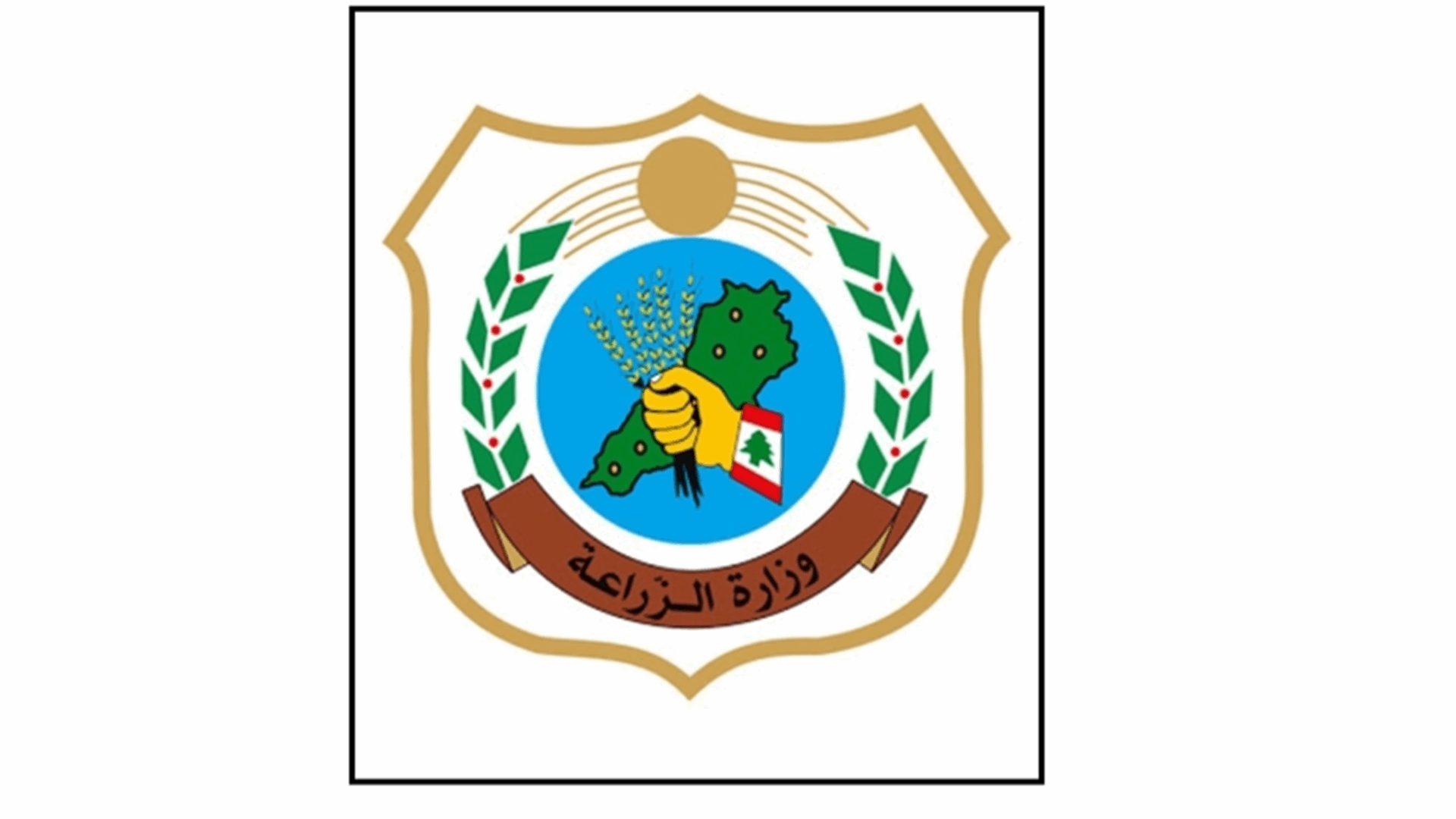 وزارة الزراعة أكدت سلامة الإجراءات الصحية المتعلقة بباخرة الأبقار المصرية