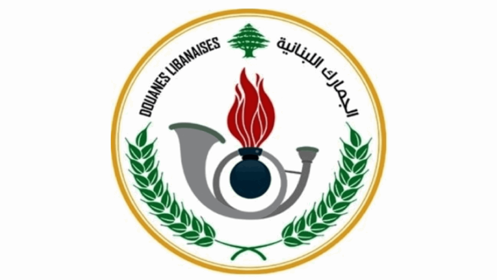 الجمارك تضبط مواد غذائية أجنبية ولحوما مهربة في الغازية وعند معبر العريضة