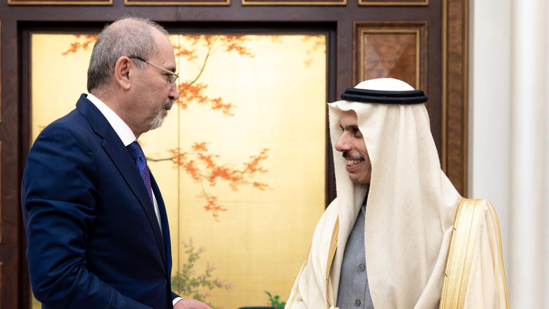 الصفدي التقى نظيره السعودي... هذا ما جرى بحثه