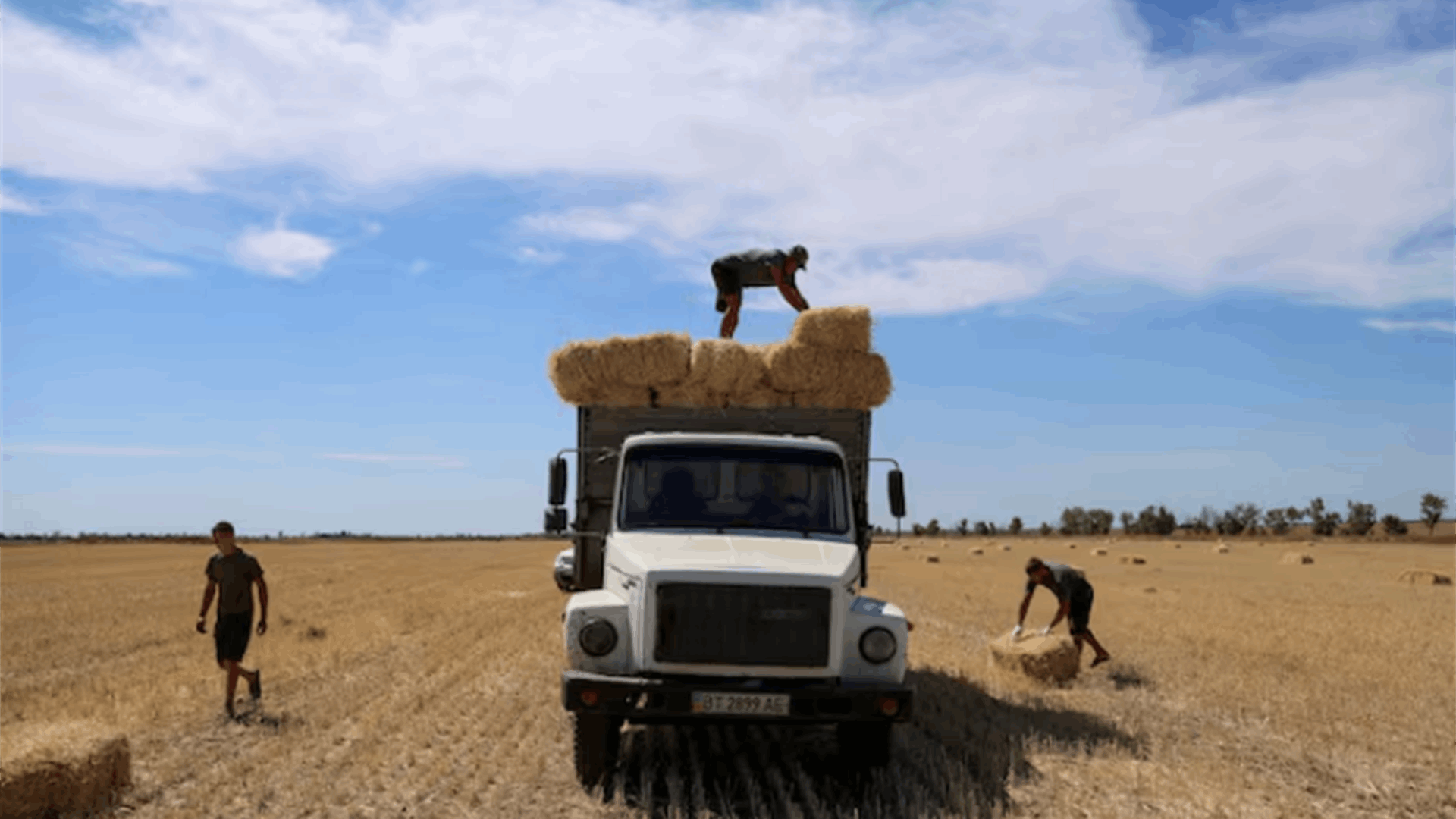 Russian attacks on Ukrainian ports cause drop in food exports