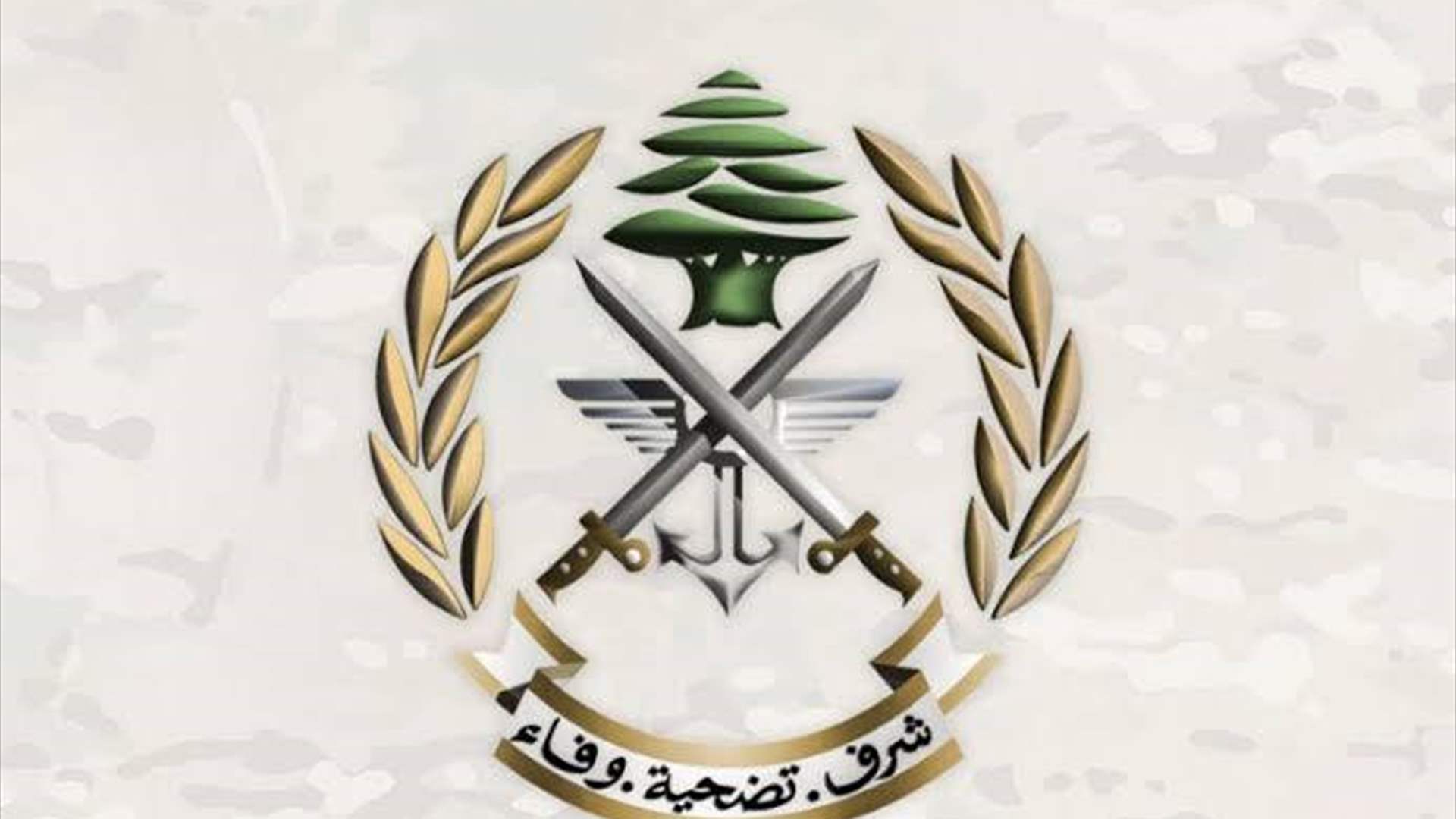 الجيش: تفجير ذخائر غير منفجرة في حقل القليعة