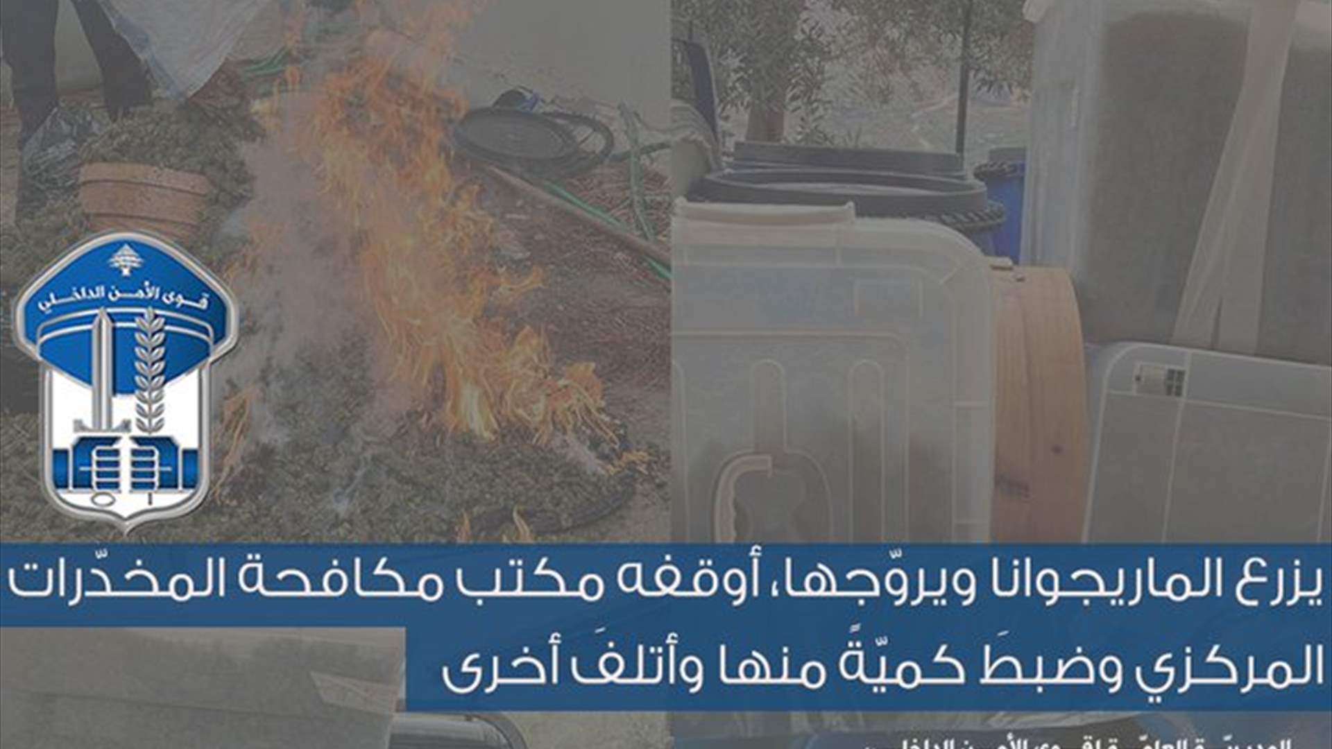 يزرع الماريجوانا ويروّجها... هذا مصيره