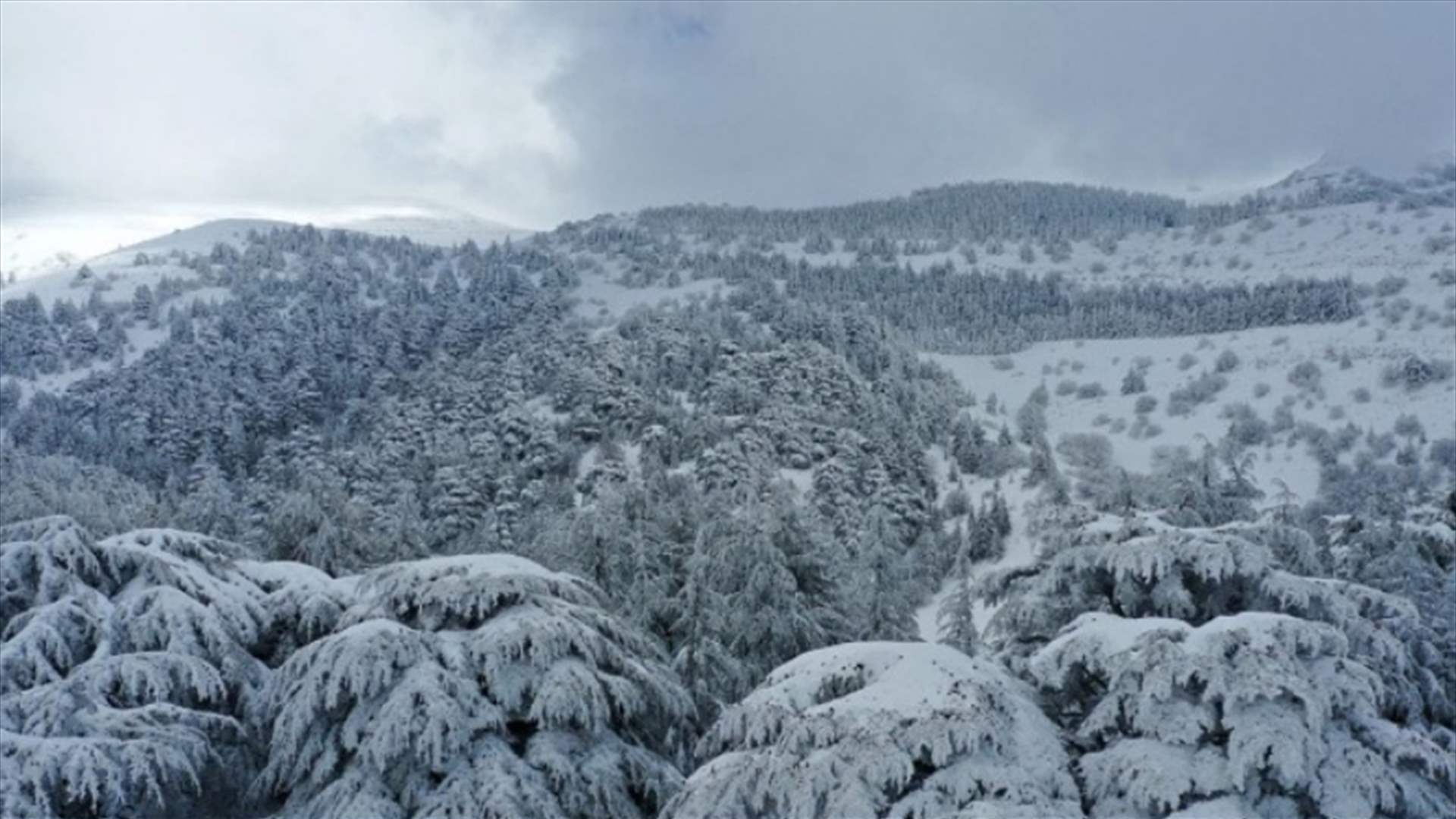 بين الإنفراجات والأمطار الغزيرة والثلوج... هذه تفاصيل الطقس