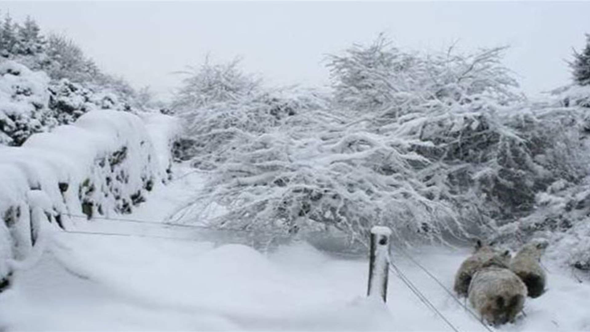منخفض جوي ثالث يبدأ اليوم...