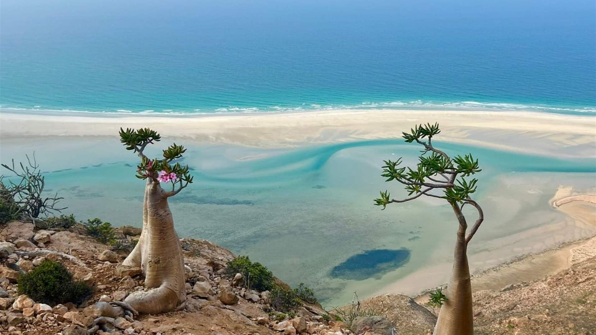 400 tourists stuck on island as flights halted over Yemen fighting