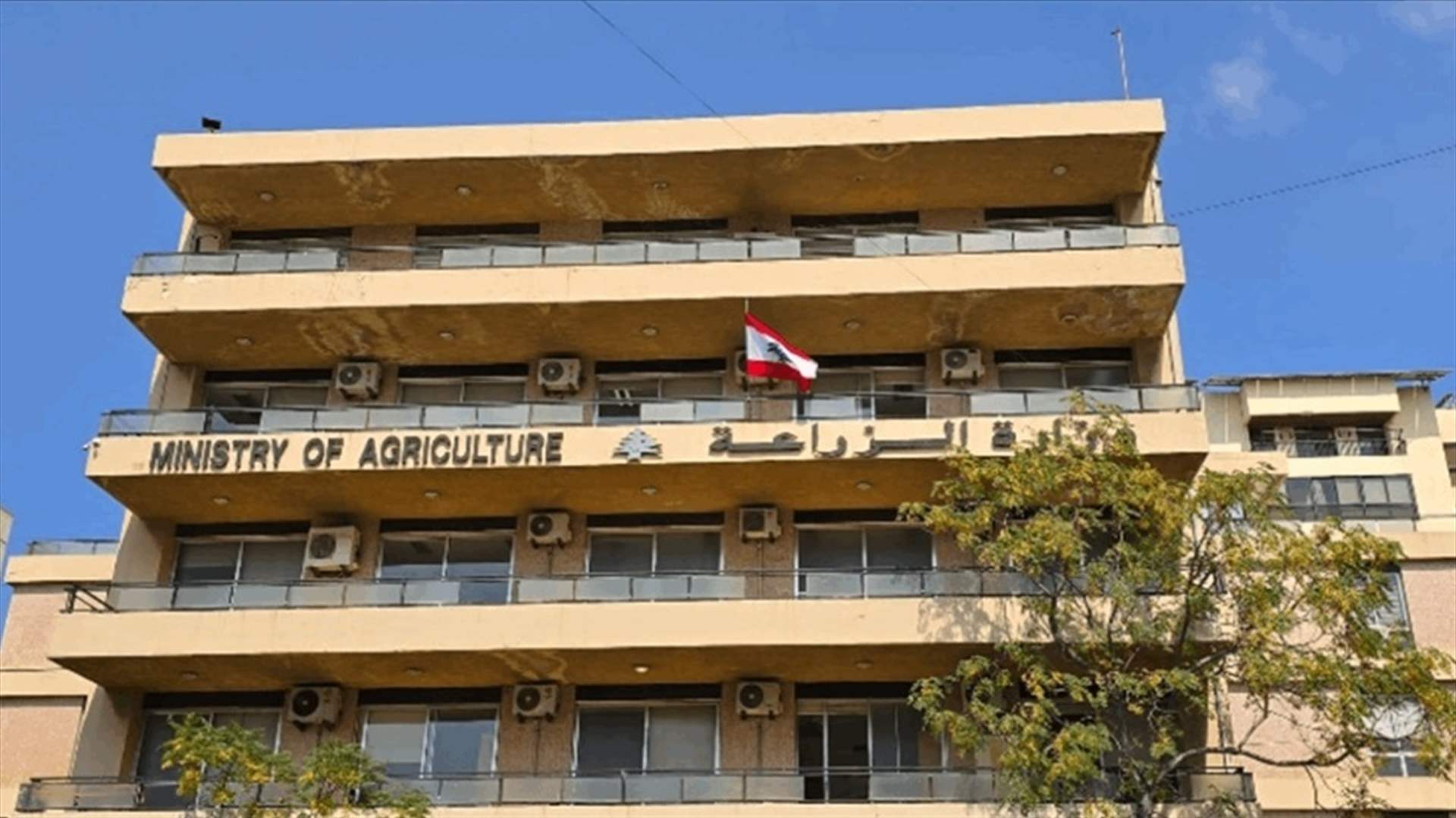 وزارة الزراعة: نتائج التقرير الأسبوعيّ للحملة الوطنية لتحصين المزارع ضد الحمى القلاعية