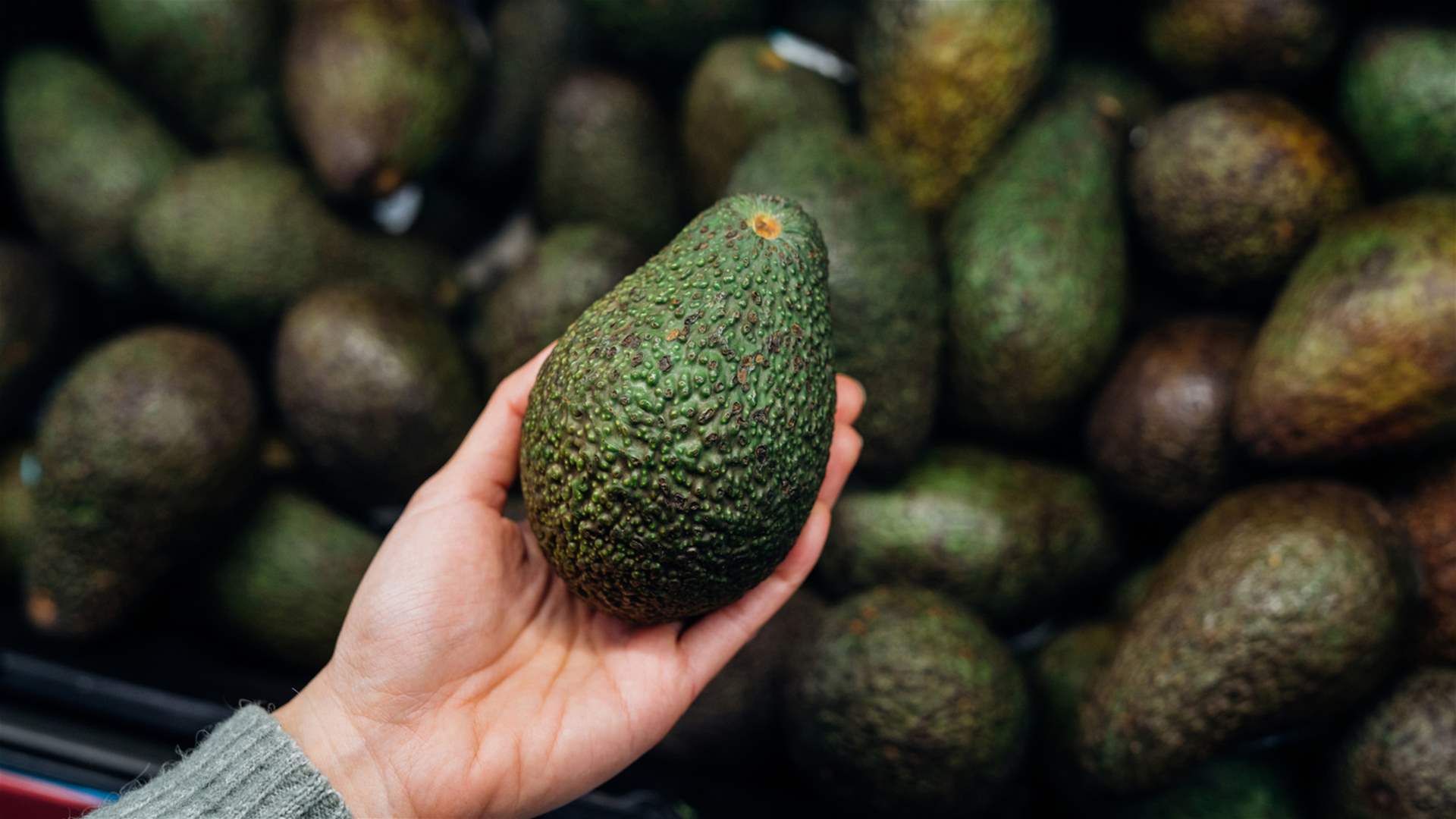 حيلة بسيطة وفعّالة… طريقة سريعة لنضوج الأفوكادو من دون إفساد طعمها