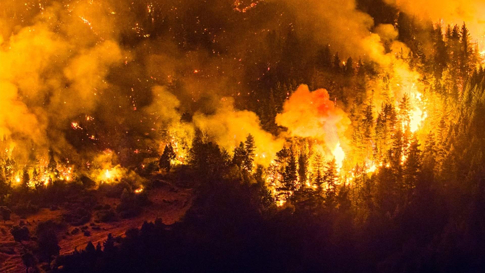 صور صادمة من قلب الجحيم… حرائق الغابات تلتهم أكثر من 15 ألف هكتار في الأرجنتين