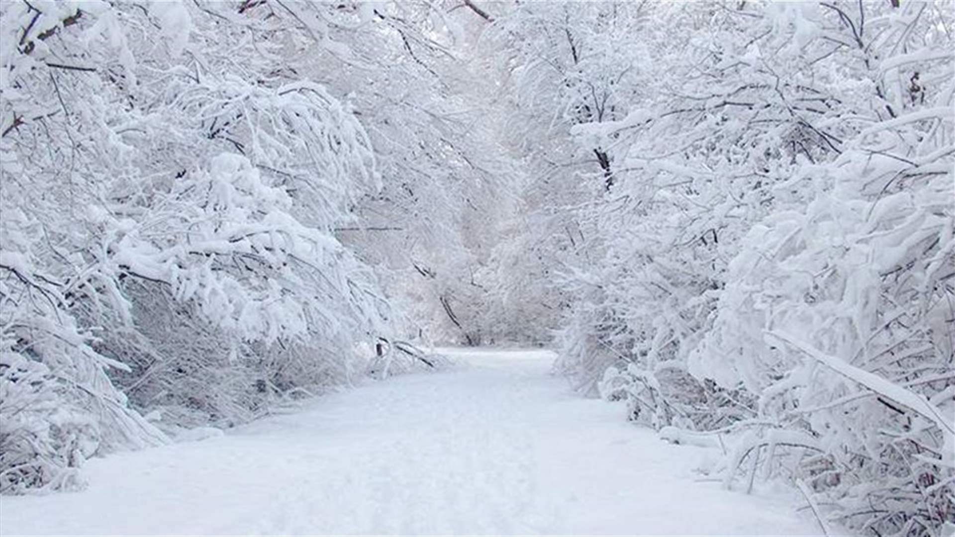 منخفض قطبي يضرب لبنان… ثلوج تقترب من 1000 متر 