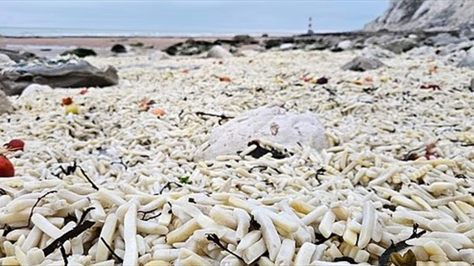 في مشهد صادم: ملايين "رقائق البطاطا" تغزو شاطئاً بريطانياً… إليكم ما حصل (صور)