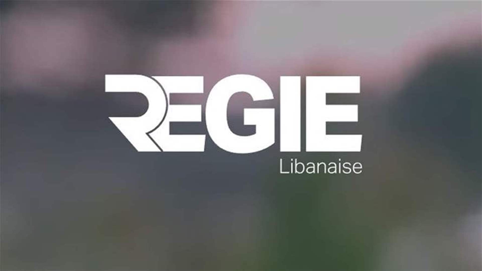 "الريجي" ضبطت مصنوعات تبغية مهربة ومزورة في حي الصويري ومجدل عنجر