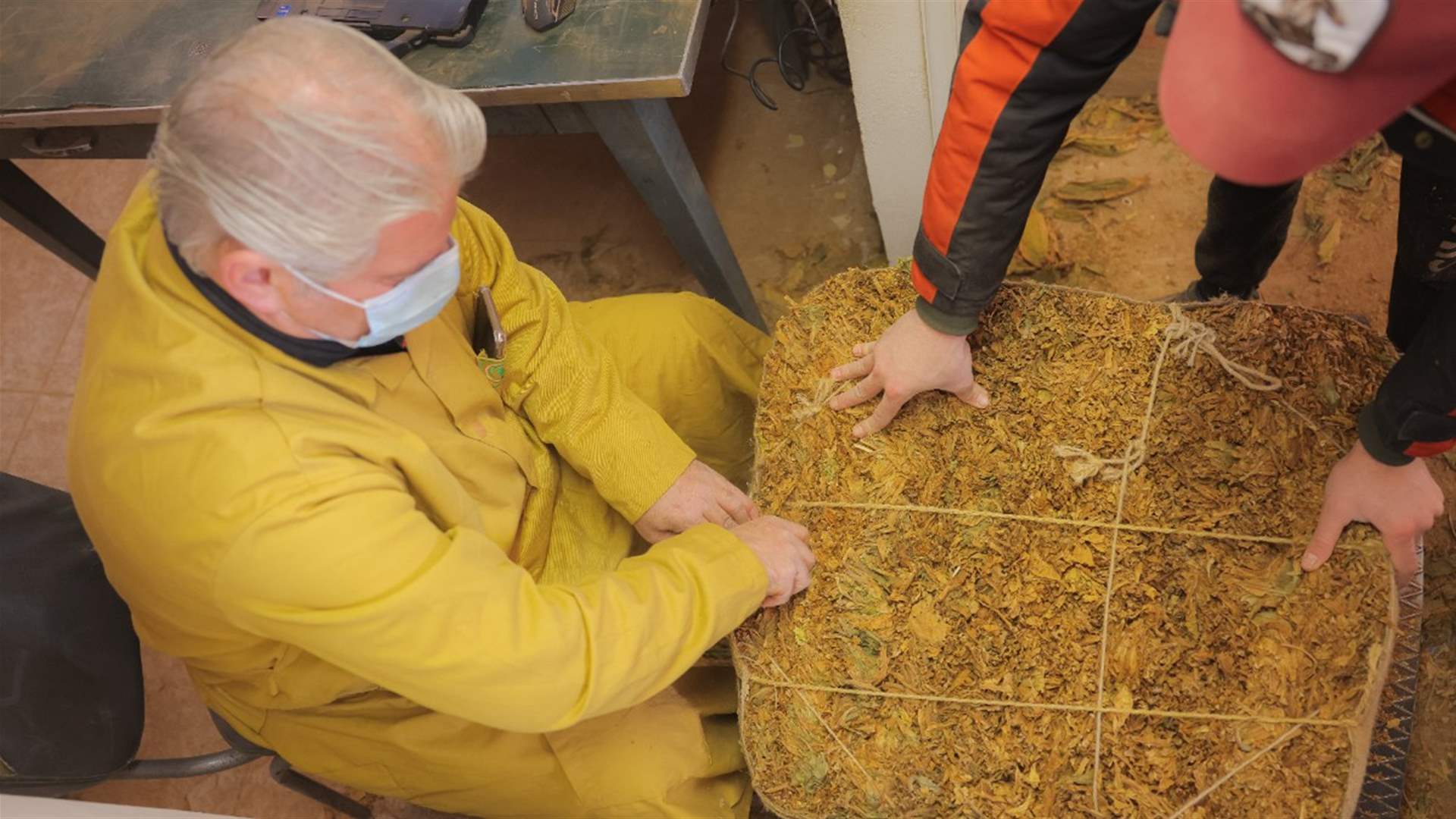 "الريجي": بدء تسلّم محاصيل تبغ البقاع