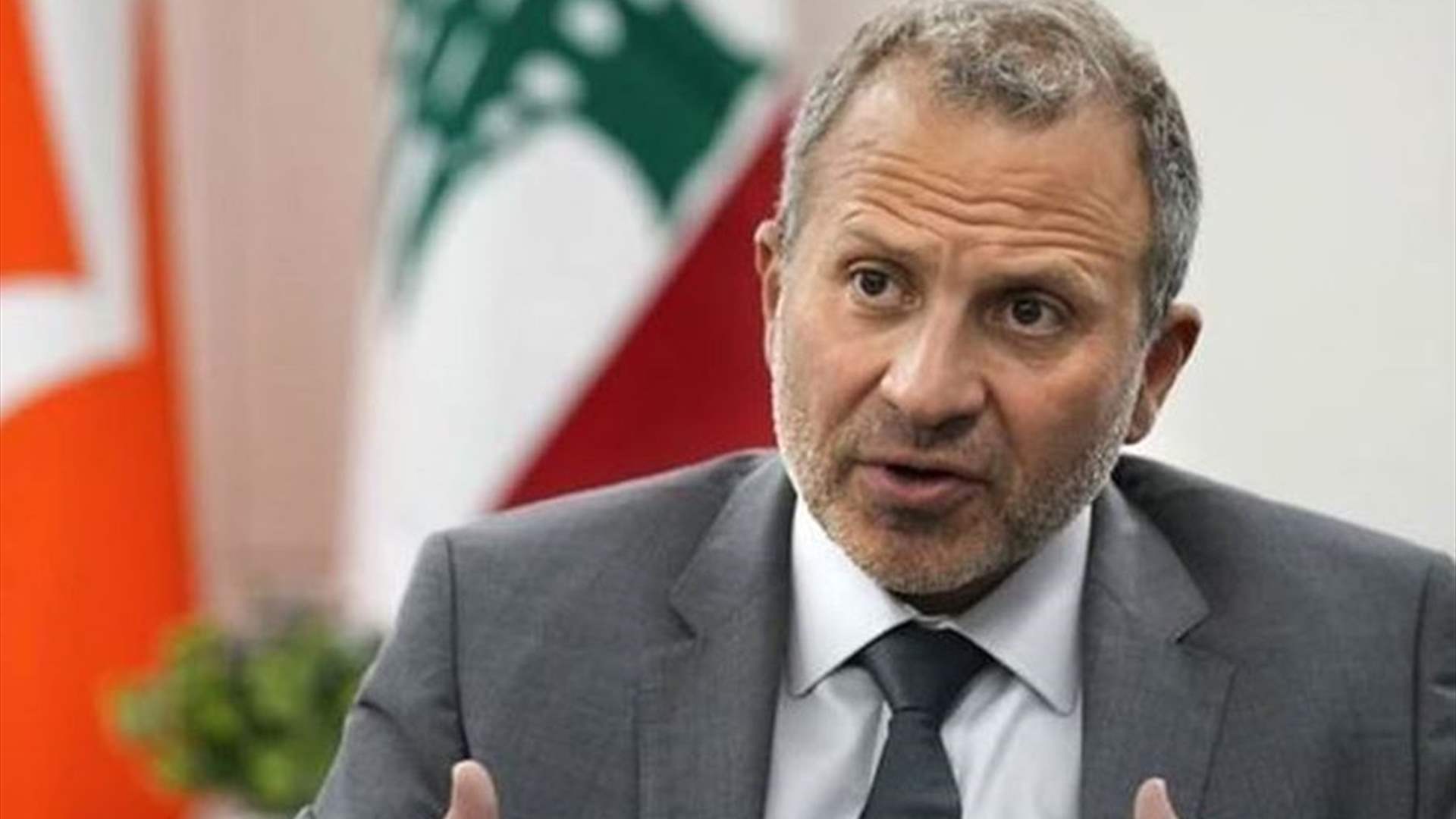 MP Bassil says he shares with Saudi Arabia agreement on several core principles