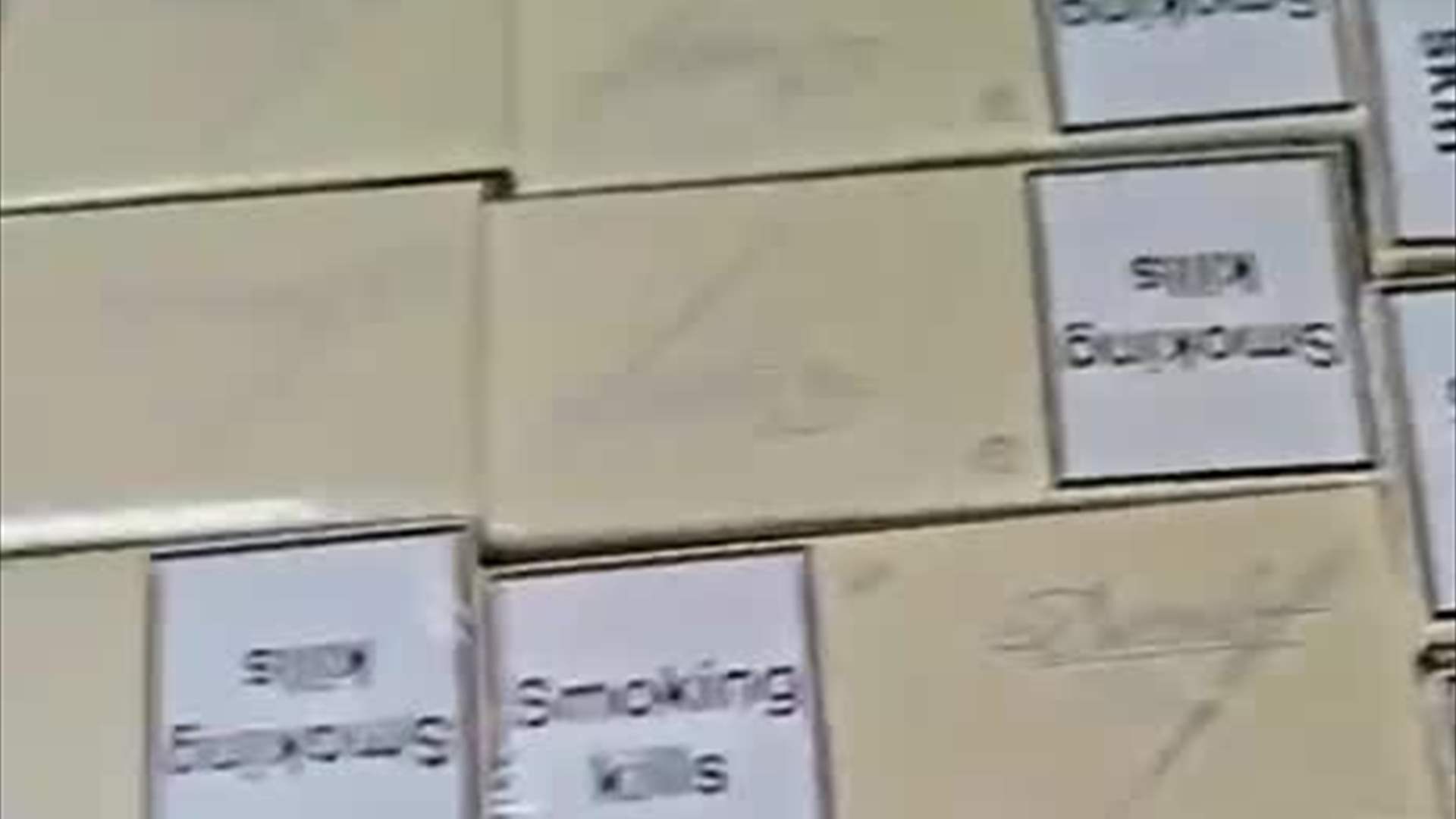 الجمارك اللبنانية تضبط مواد غذائية وتبغية مهربة في صيدا