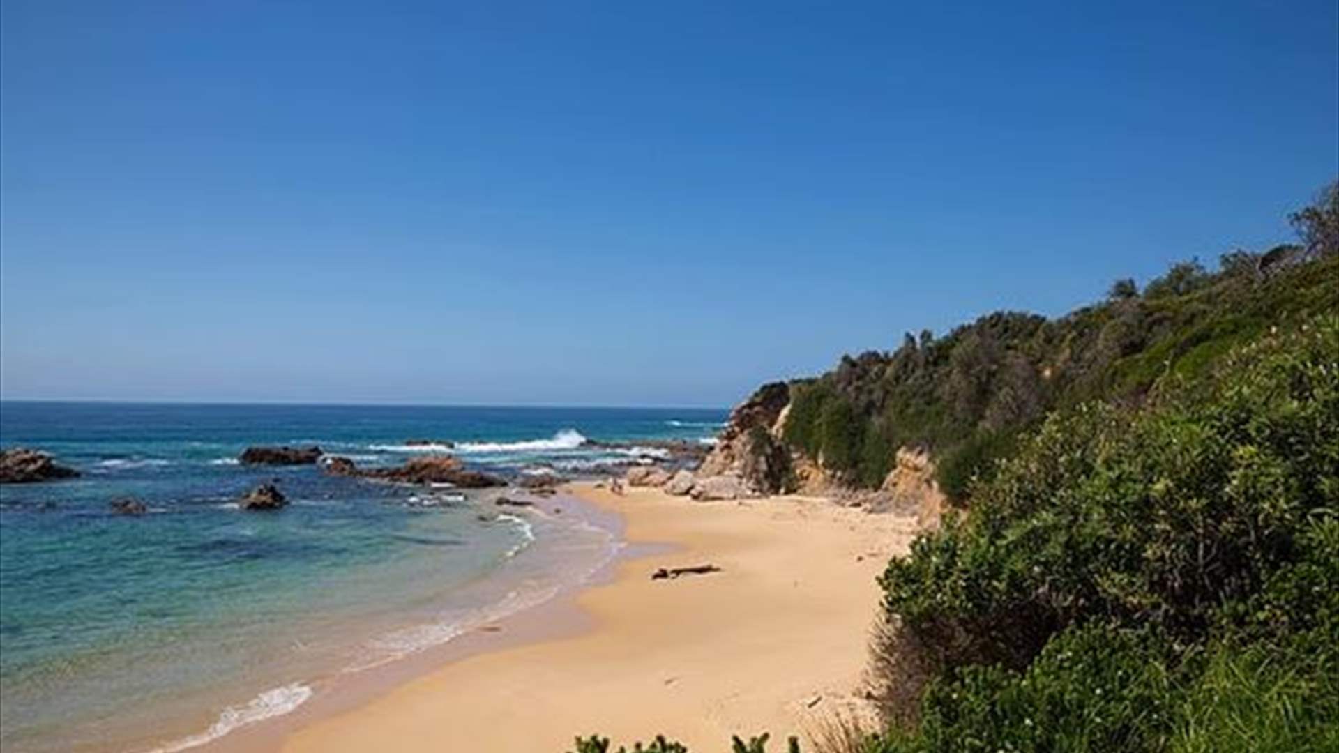 بعد سقوطه من منحدر صخري... رجل أسترالي يواجه مصيرًا مأساويًا!