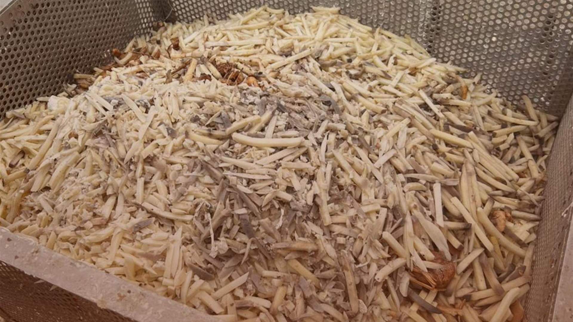 مداهمات لأمن الدولة على معامل تصنيع في البقاع: إقفال معمل شوكولا وسكاكر ووقف معمل بطاطا عن الإنتاج موقتًا