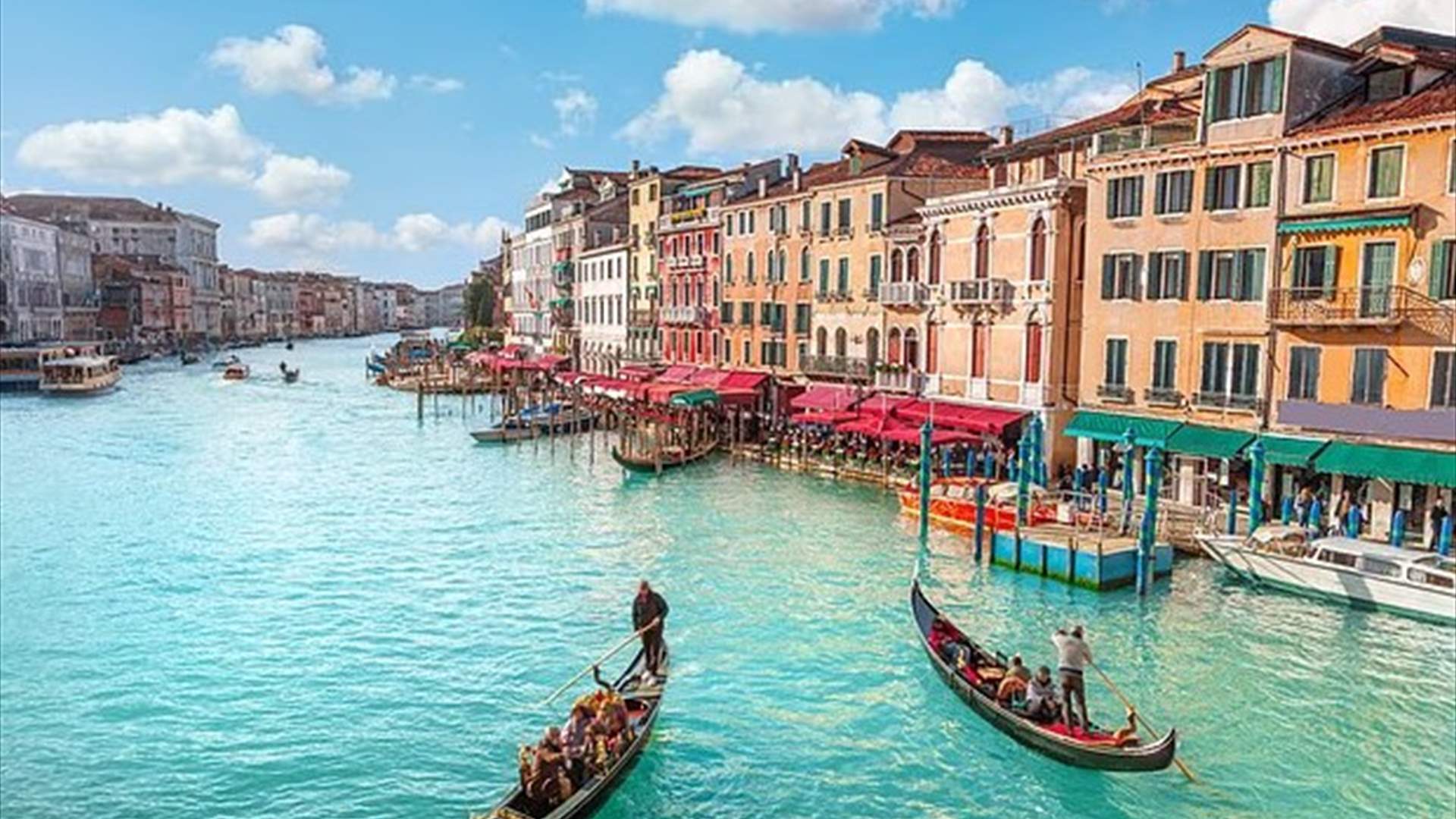 المدينة الغارقة تواجه غزوًا بحريًا… كائن هلامي يهدد النظام البيئي في البندقية