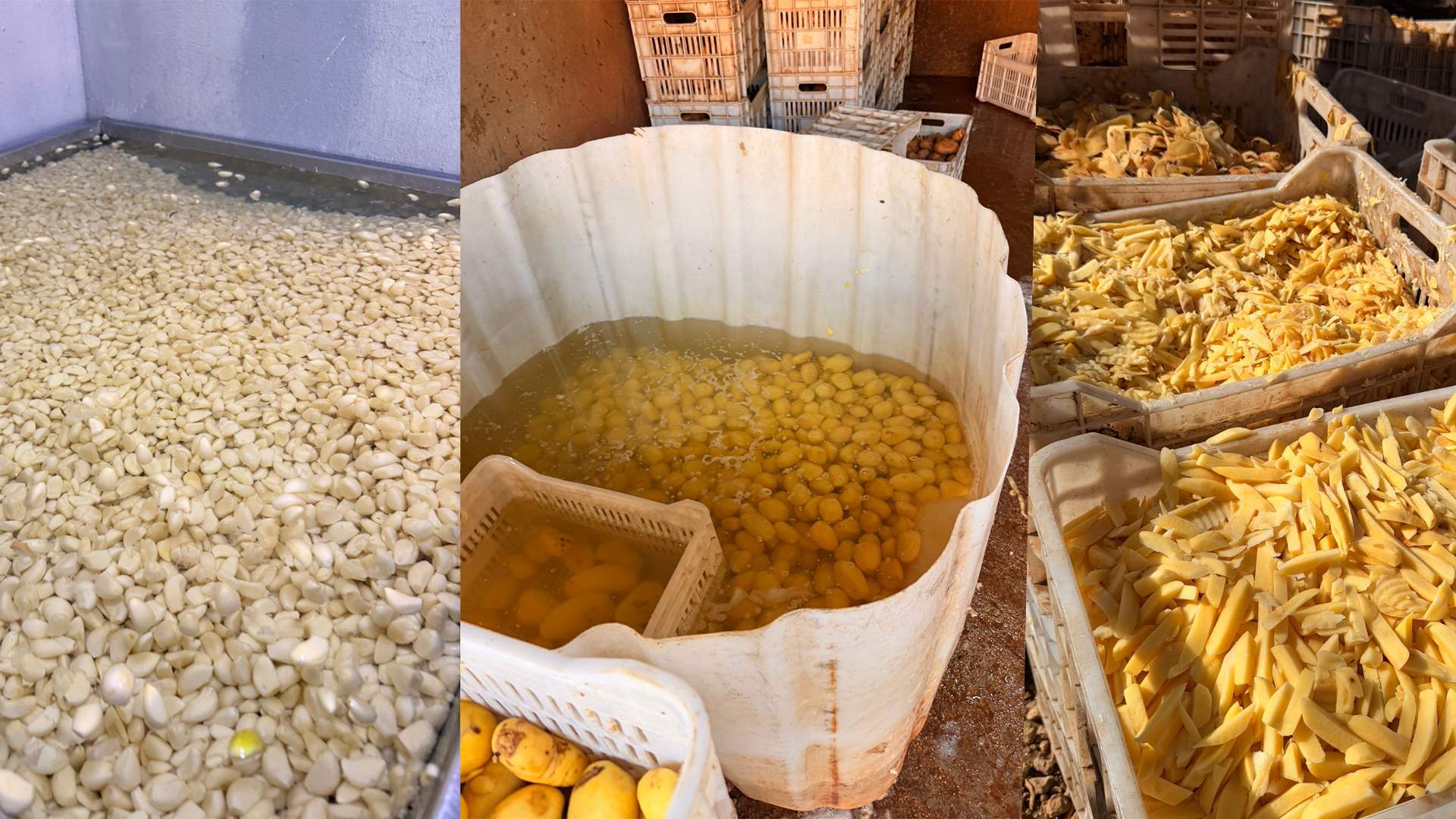 مفرزة استقصاء البقاع توقف مالك معمل للبطاطا المقشّرة الجاهزة... وختم المعمل بالشّمع الأحمر