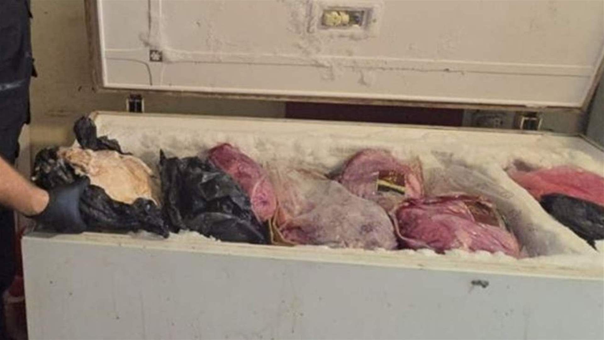 ضبط لحوم فاسدة وختم مستودع بالشمع الأحمر في صور