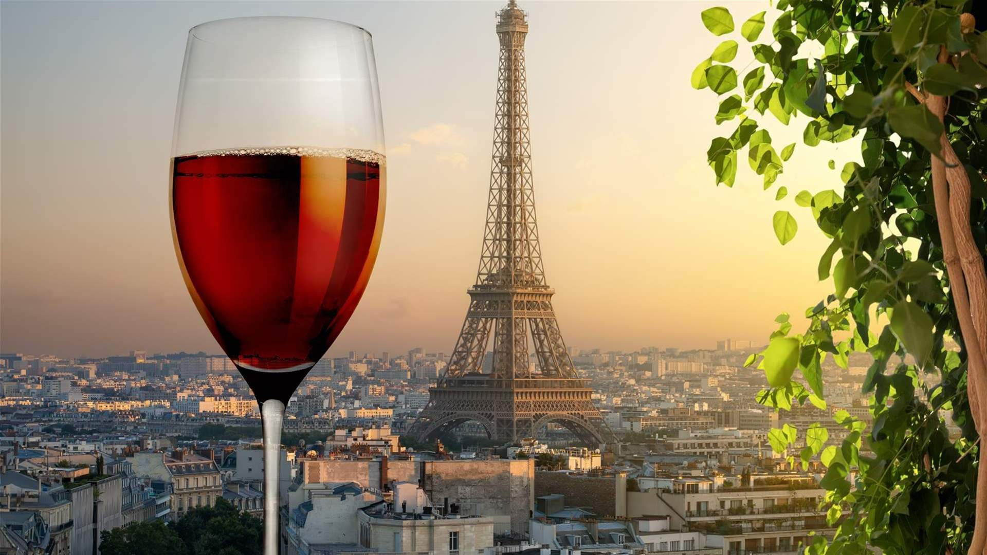French 2025 wine and spirit exports drop 8% as tariffs bite