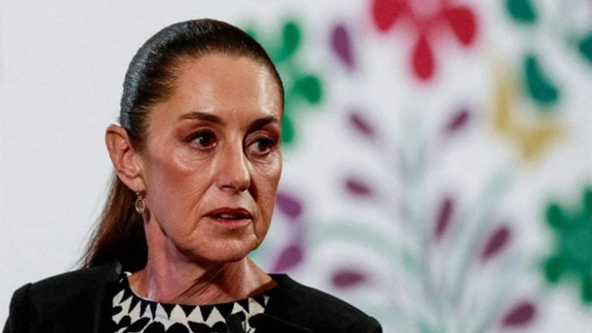 رئيسة المكسيك: لا معلومات لدينا عن تحليق مسيّرات مكسيكية في المجال الجوي الأميركي