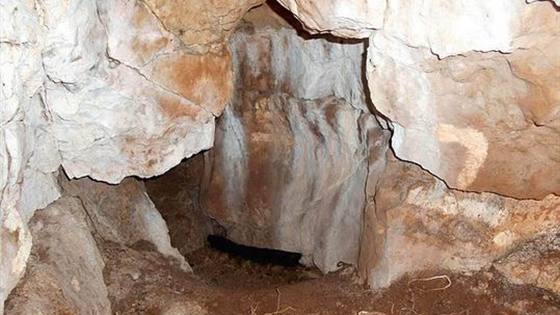 رفات عمرها 11 ألف سنة تفاجئ العلماء... هذا ما تم اكتشافه في إنكلترا!