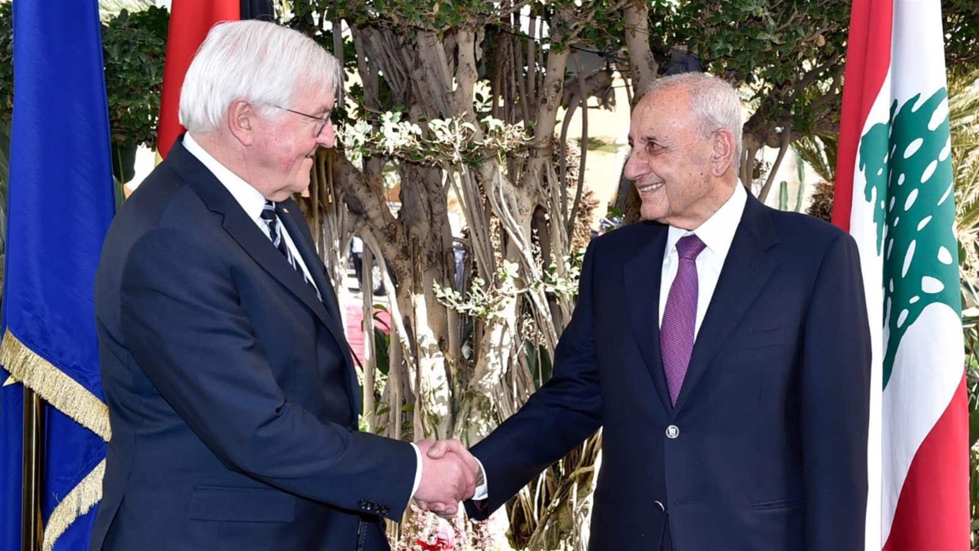 بري بحث مع الرئيس الإلماني تطورات لبنان والمنطقة 