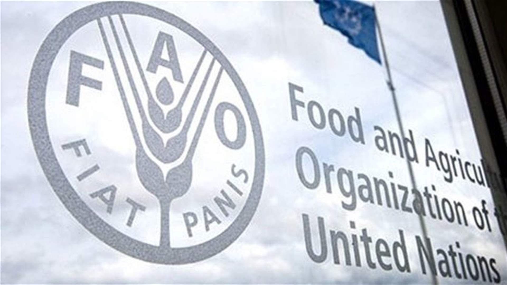 Lebanon assumes presidency of FAO Near East Group for 2026