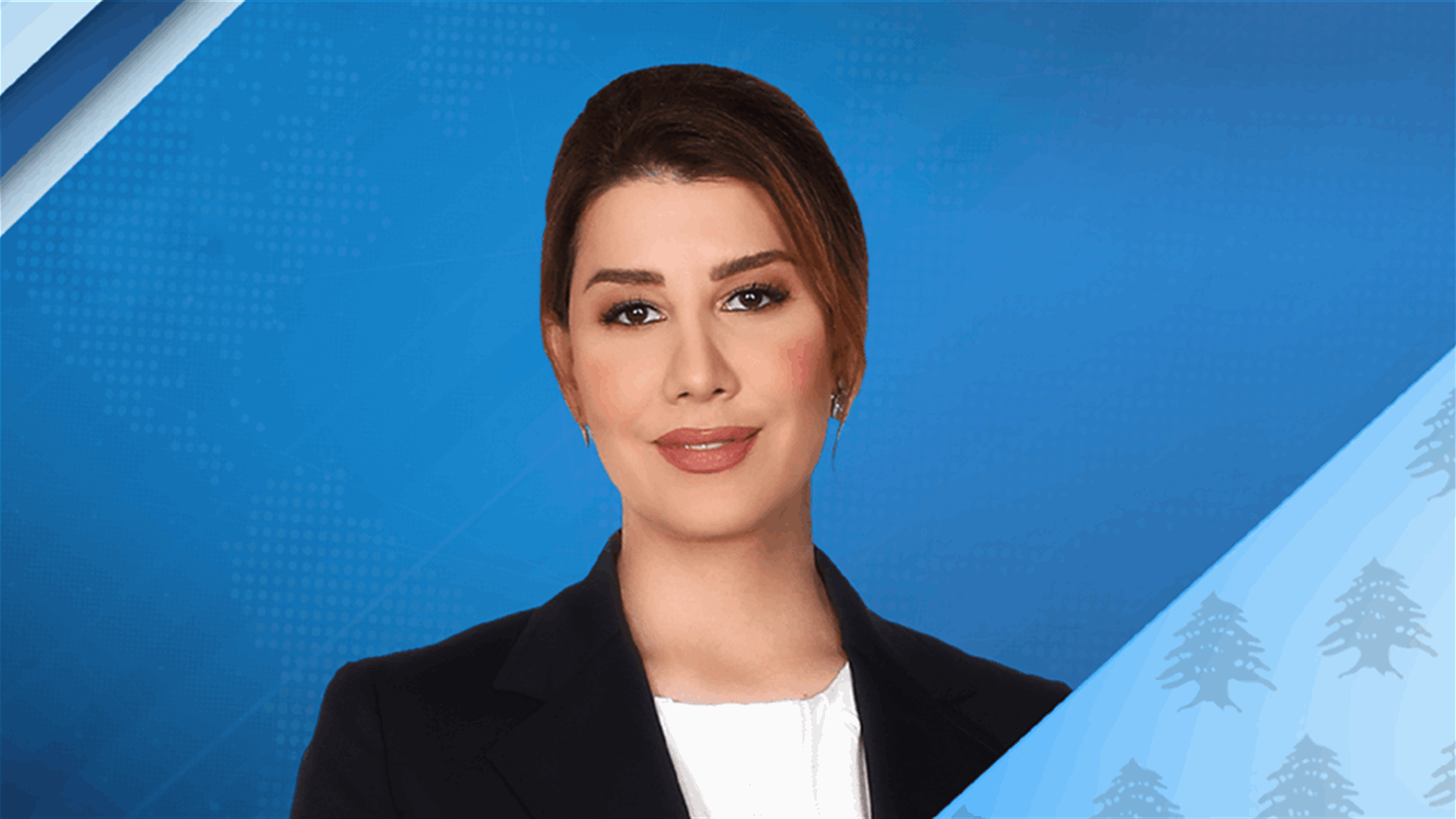 يعقوبيان تتقدم باقتراح قانون لإلغاء نصّ تمييزي في نظام وزارة الخارجية