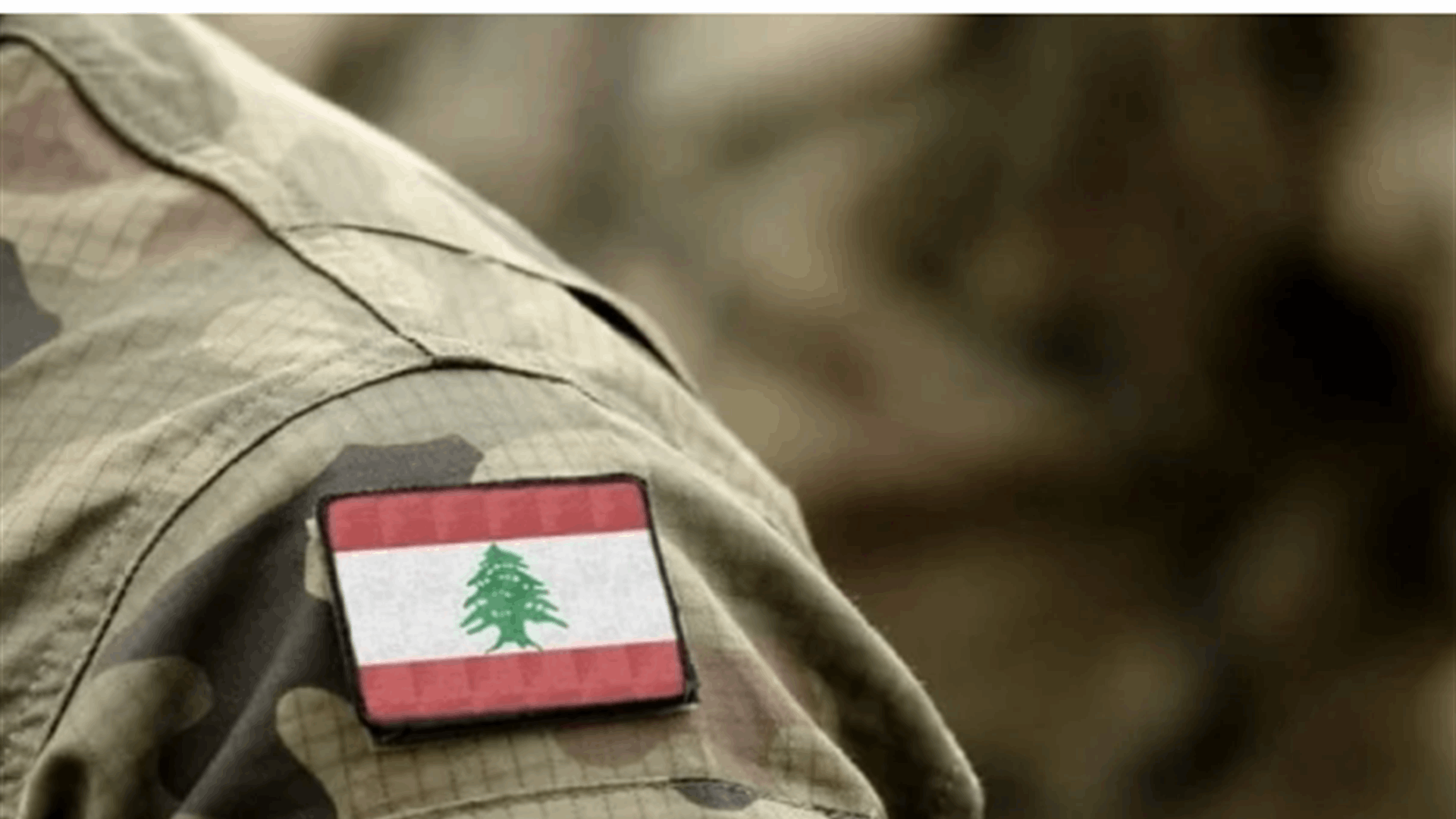 Cairo talks highlight Lebanese Army ahead of Paris Conference with EU $100 million support