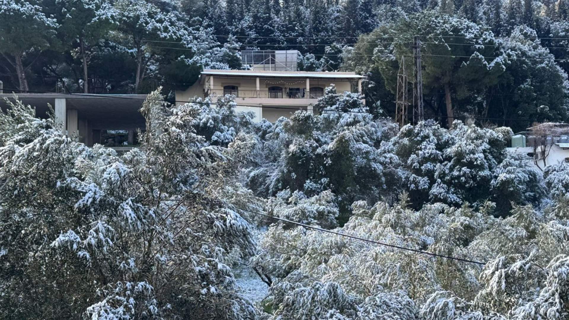 للمرة الأولى هذه السنة... الثلوج لامست الـ500 متر في عكار 