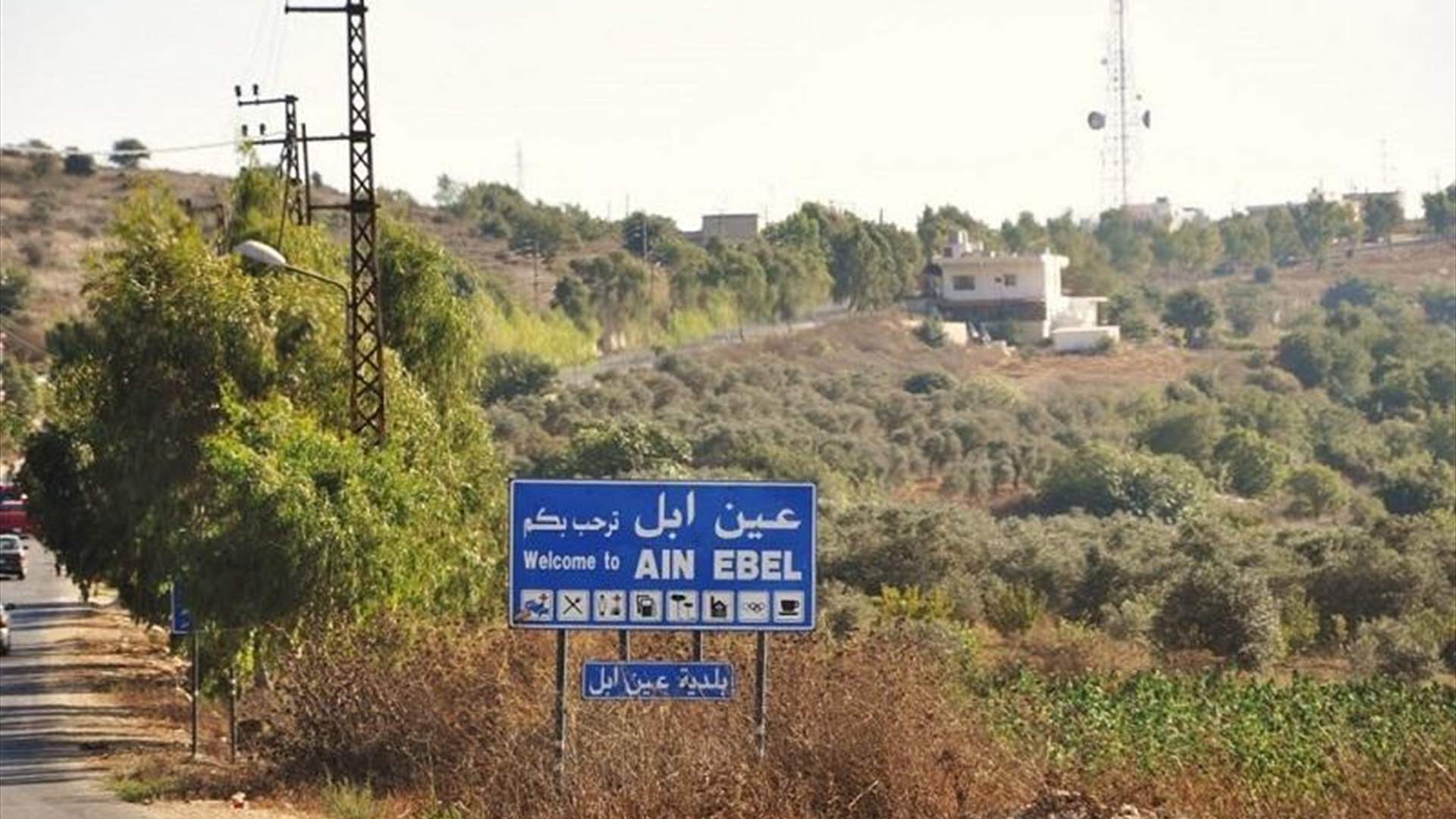 Three killed in Israeli strike on Ain Ebel