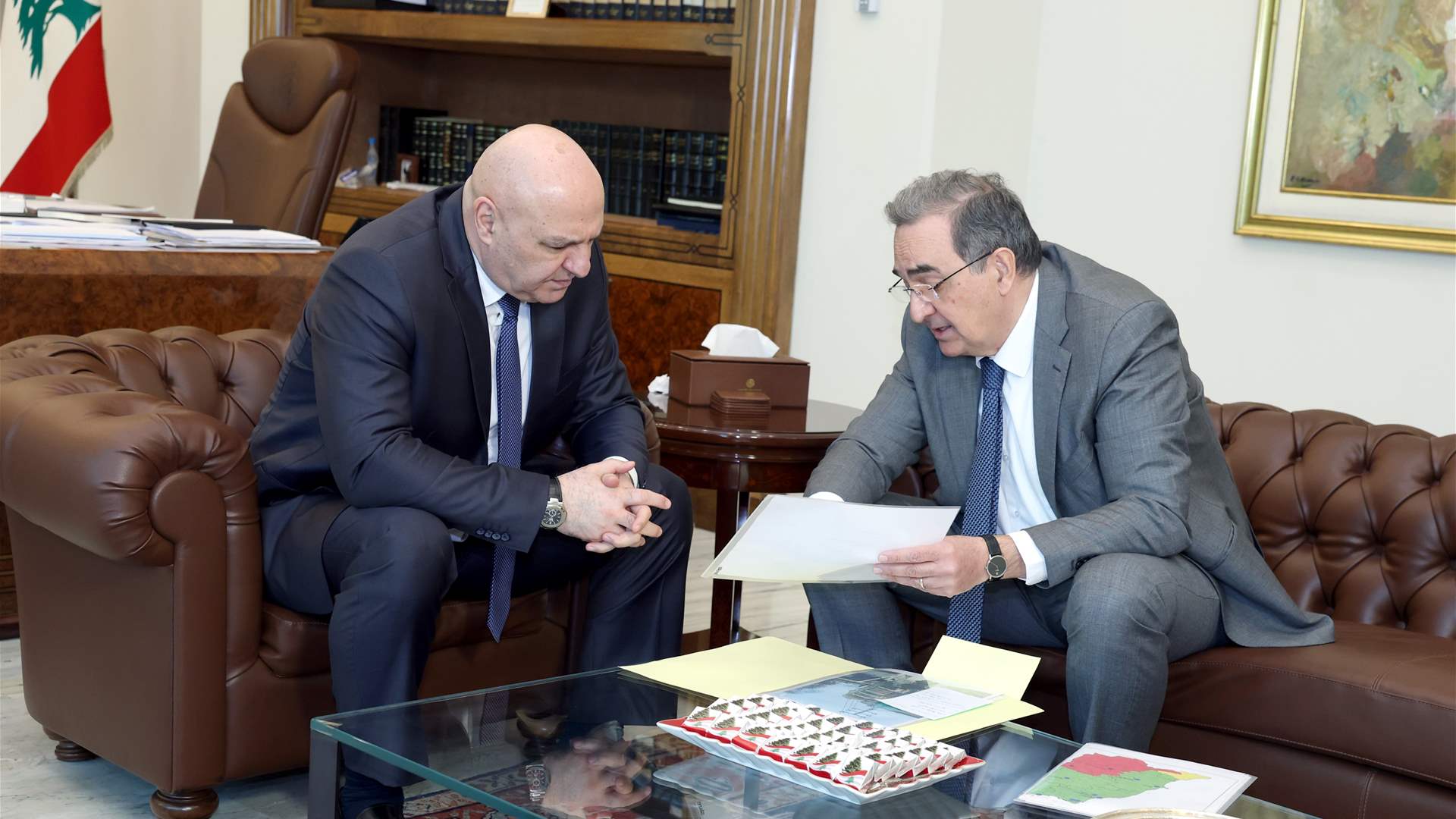 سلسلة لقاءات في قصر بعبدا... حايك: التغذية بالتيار الكهربائي مؤمّنة لفترة زمنية منظورة