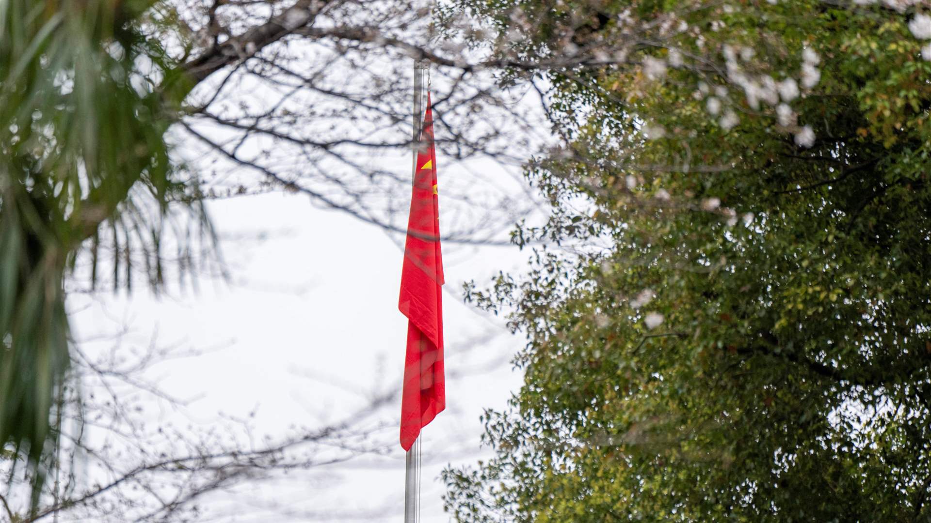 China FM says US-Israel attack on Iran 'clearly violated international law'